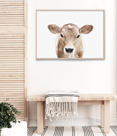 Jersey Cow Print (Colour)