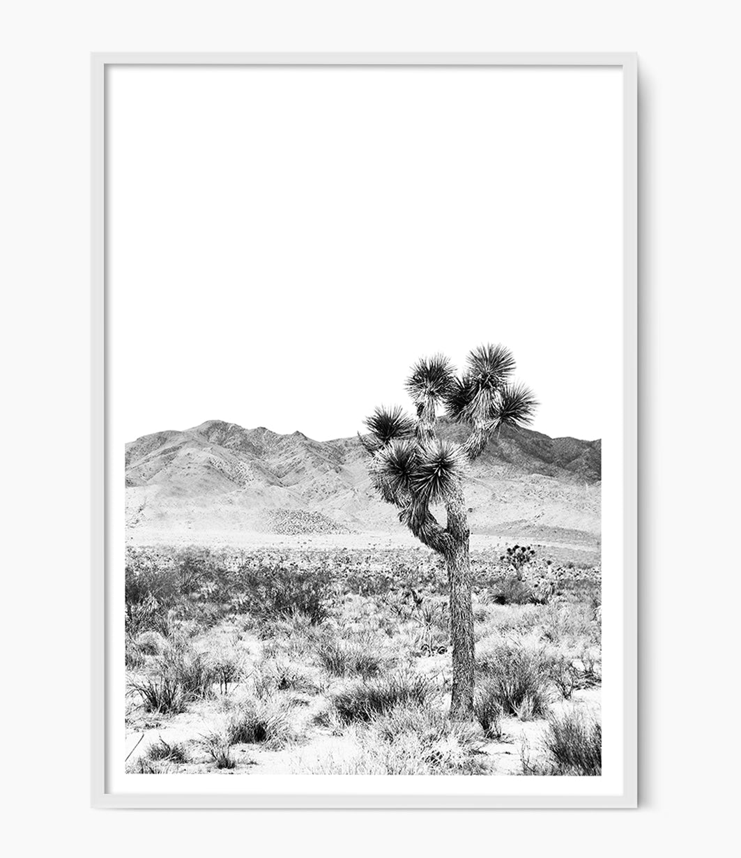 Joshua Tree Print (Black and White)