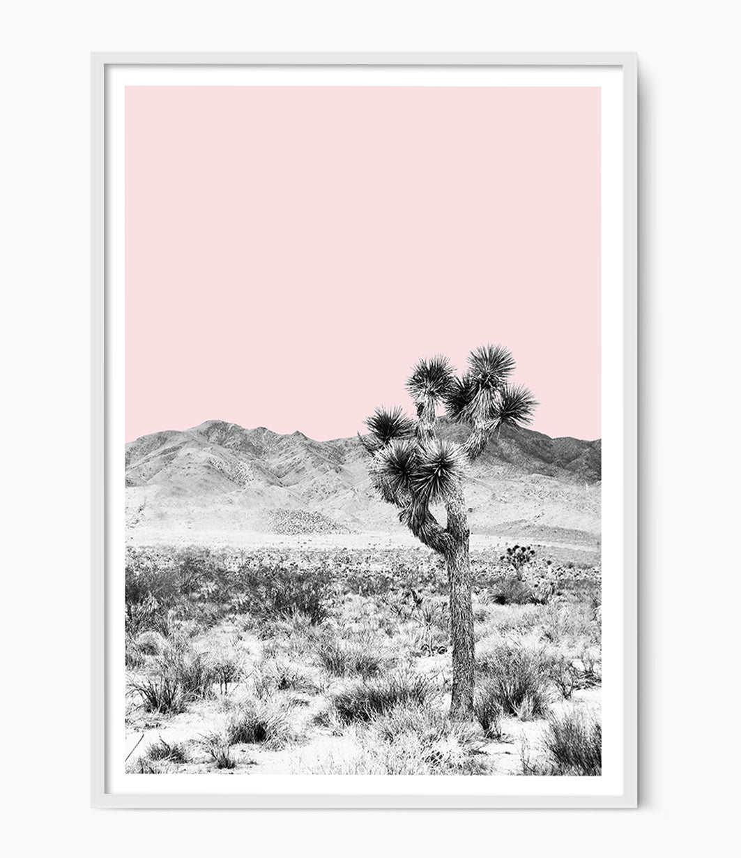 Joshua Tree Desert Print