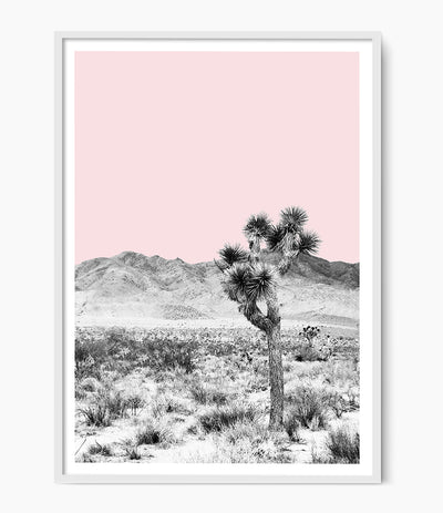 Joshua Tree Desert Print