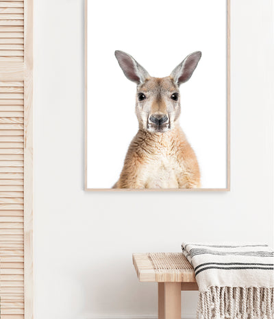 Kangaroo Portrait Print