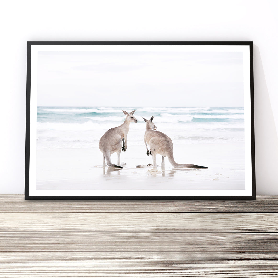 Beach Kangaroos Print