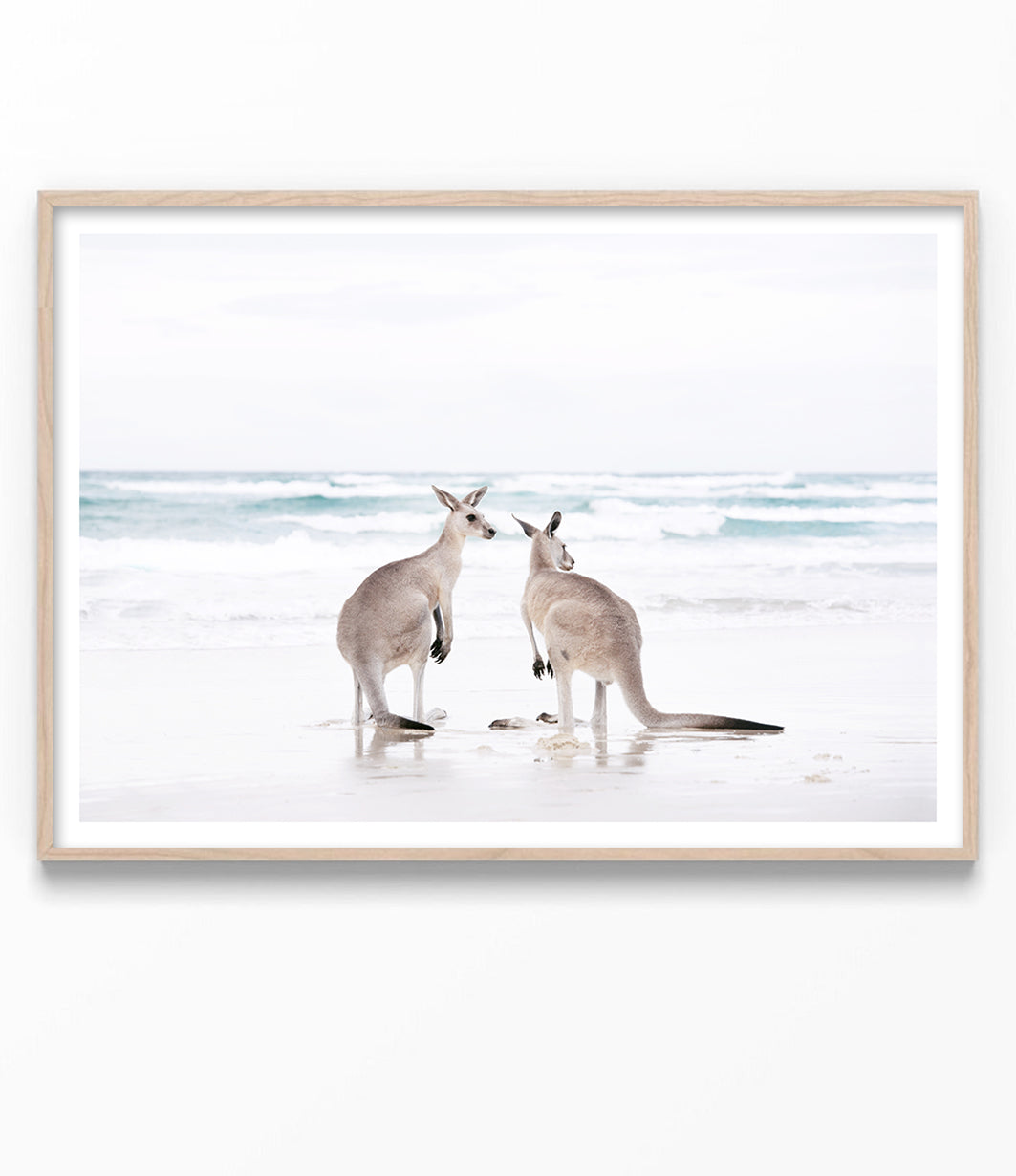 Beach Kangaroos Print