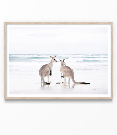 Beach Kangaroos Print