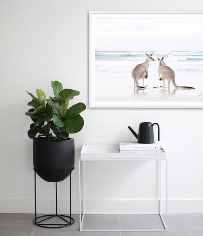Beach Kangaroos Print