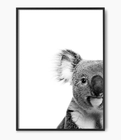 Koala Art Print
