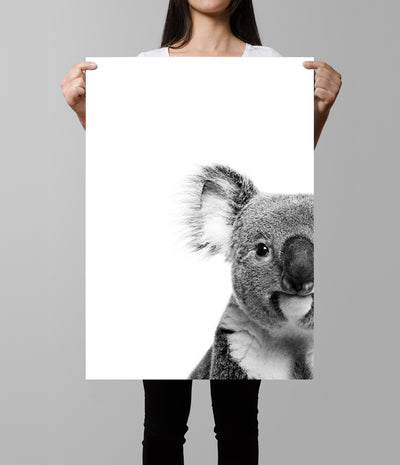 Koala Art Print