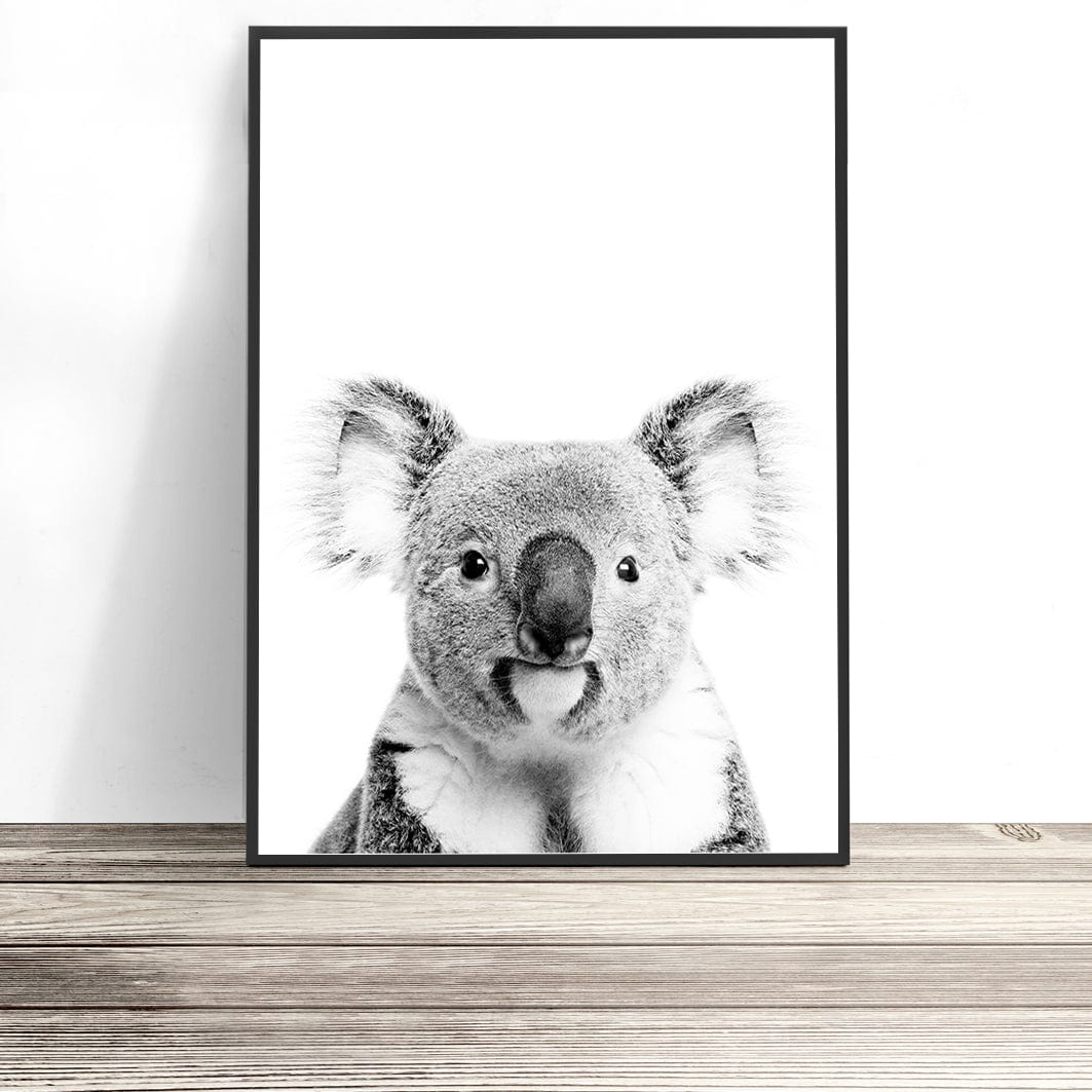 buy koala print wall art photography australia