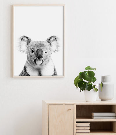 buy koala print 