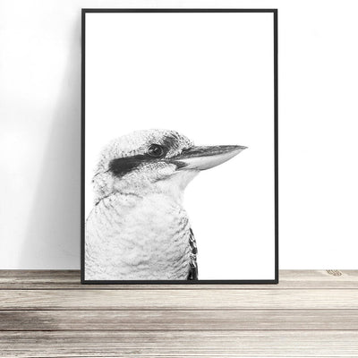 kookaburra print 
