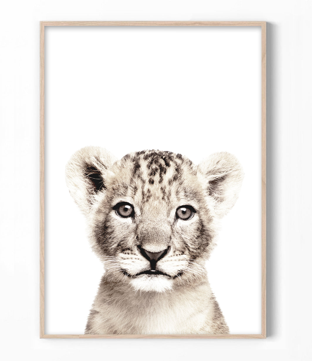 Lion Cub Print