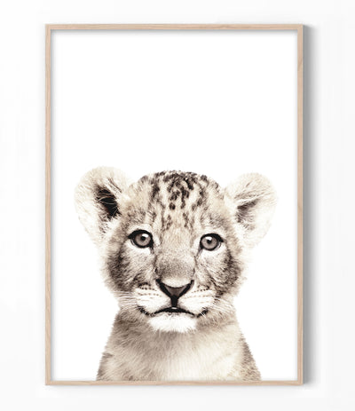 Lion Cub Print
