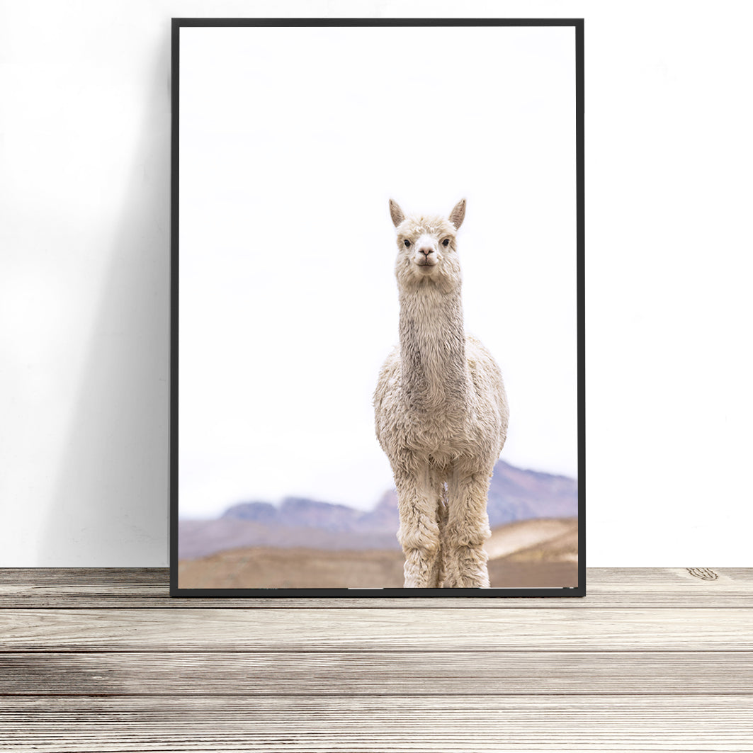 Llama Print