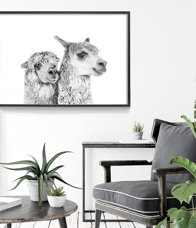 Pair of Llamas Print (Black and White)