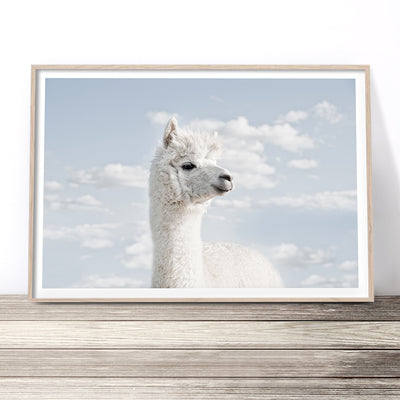 llama wall art nursery prints australia baby room artwork