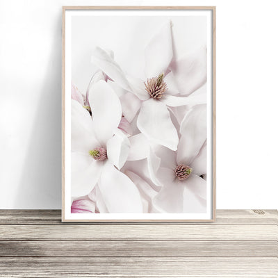 magnolia flower art print australia