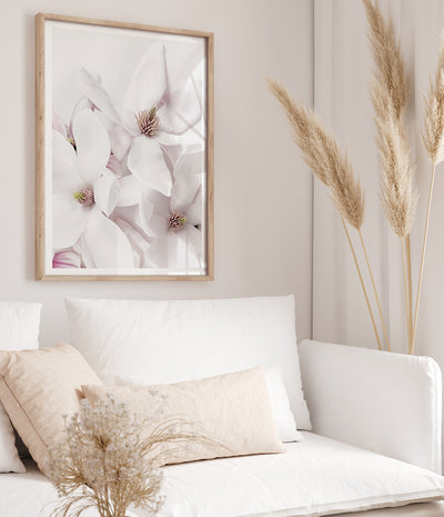 magnolia flower print australia