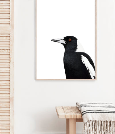 Magpie Print