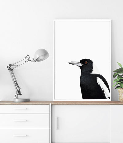 Magpie Print