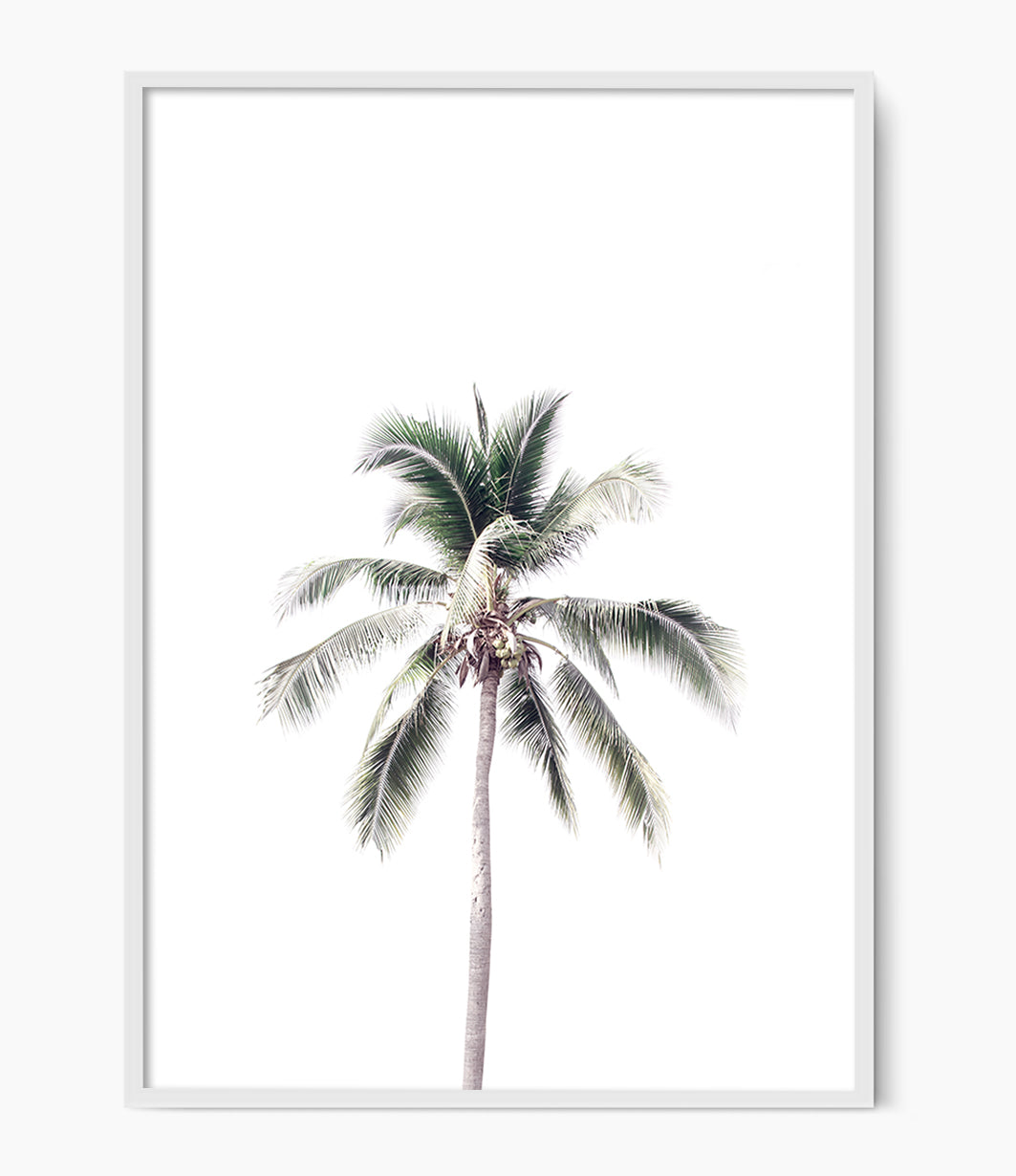 Vintage Palm Tree Print (Colour)
