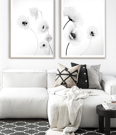 modern poppy flower wall art print photography poster made in melbourne australia