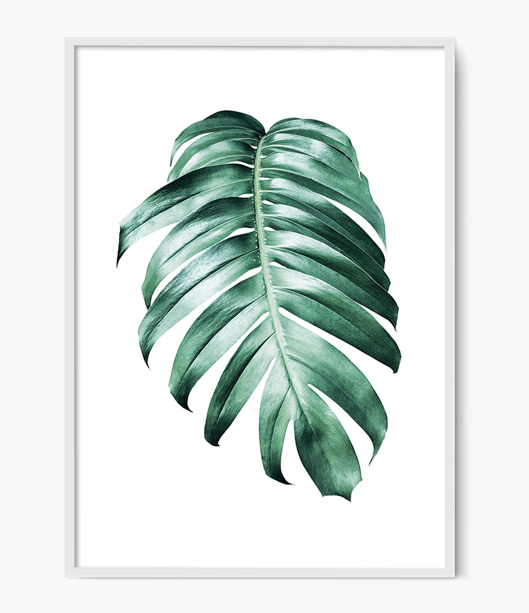 Watercolour Monstera Leaf Print