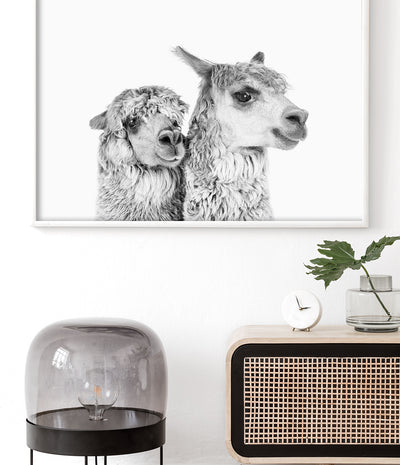 Pair of Llamas Print (Black and White)