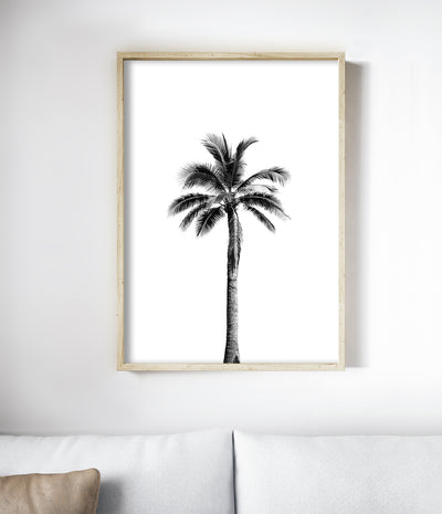 Palm Tree Print