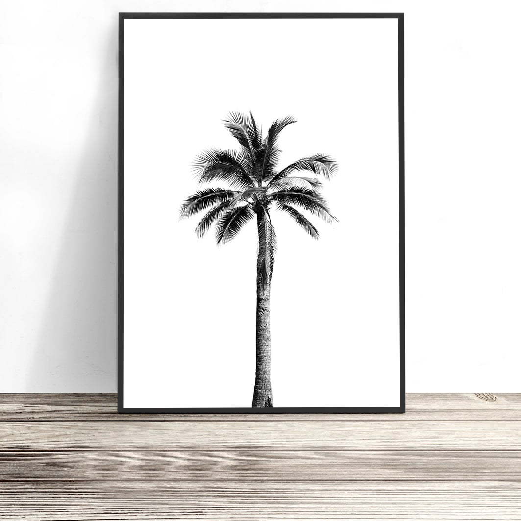 Palm Tree Print