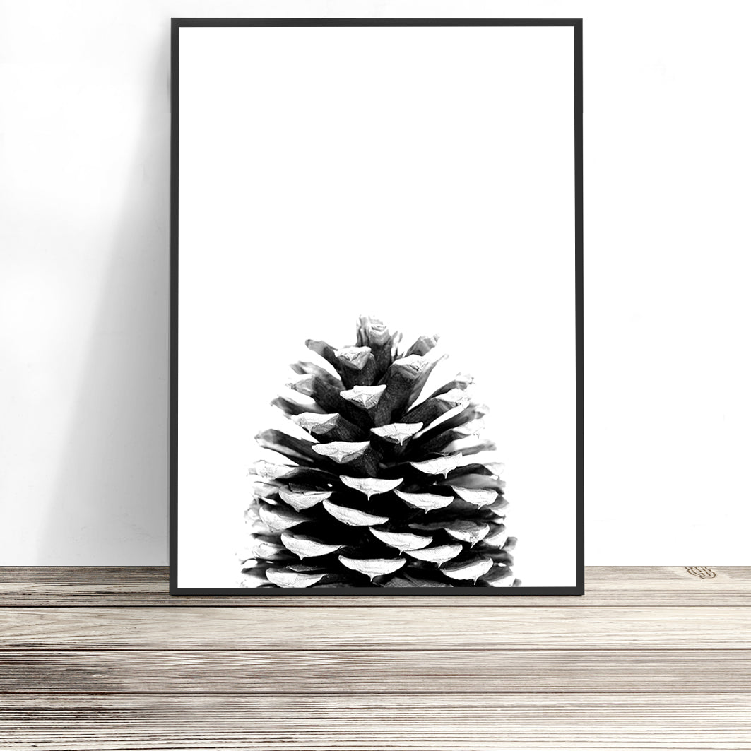Pine Cone Print