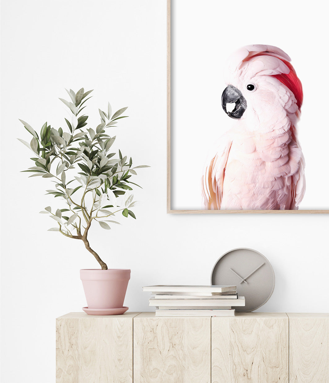pink cockatoo art australian bird print
