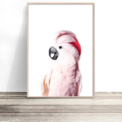pink cockatoo print native australian bird artwork