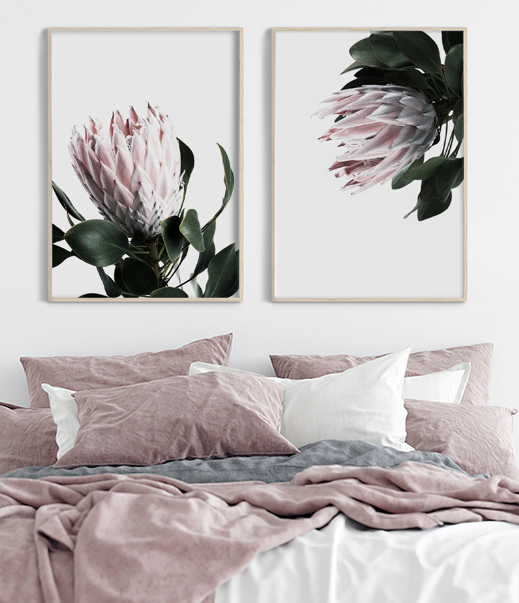 set of 2 protea prints native australian flower wall art photography