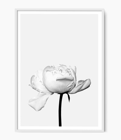 Peony Print (Black and White)