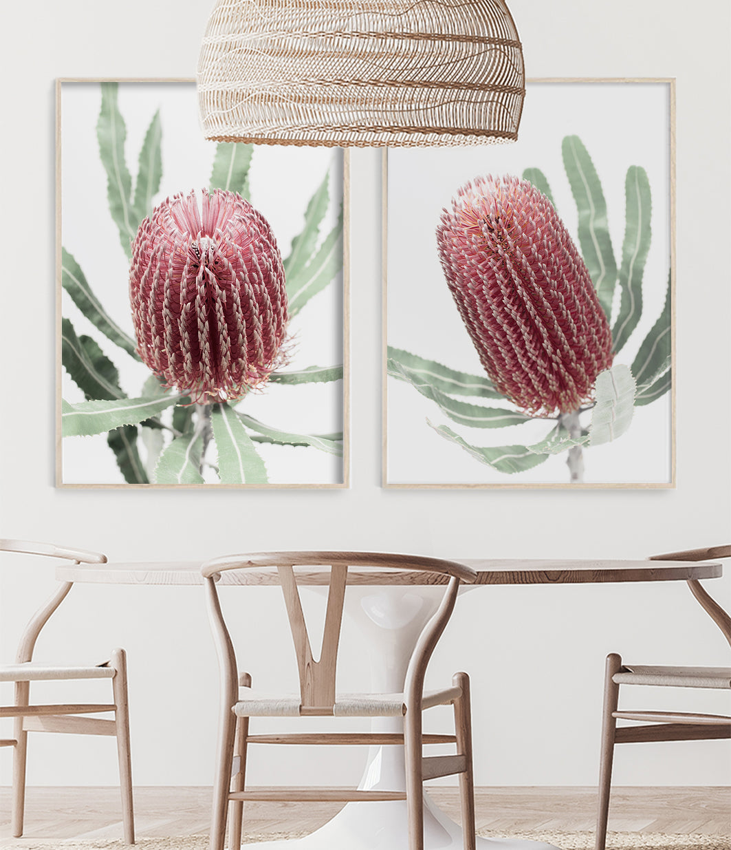 set of 2 banksia prints native australia flower wall art photography