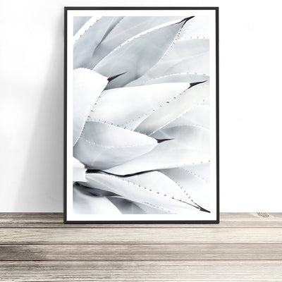 aloe vera succulent print australia