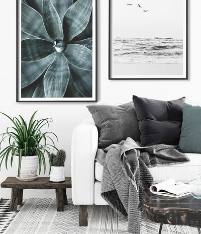 agave succulent art print poster australia