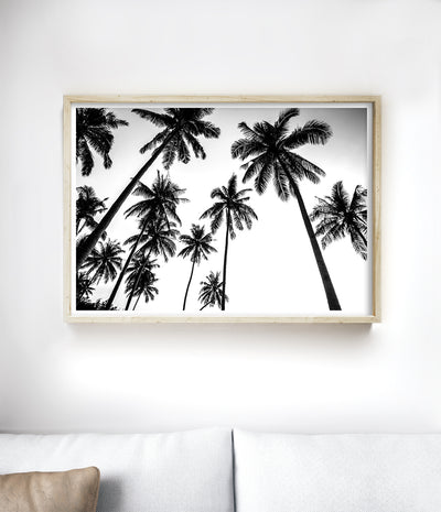 Tropical Palm Tree Print