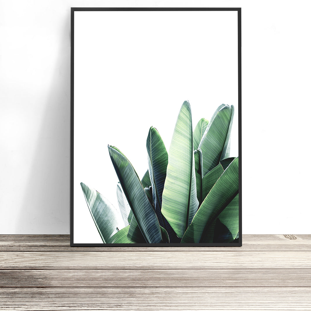 Tropical Leaves Print