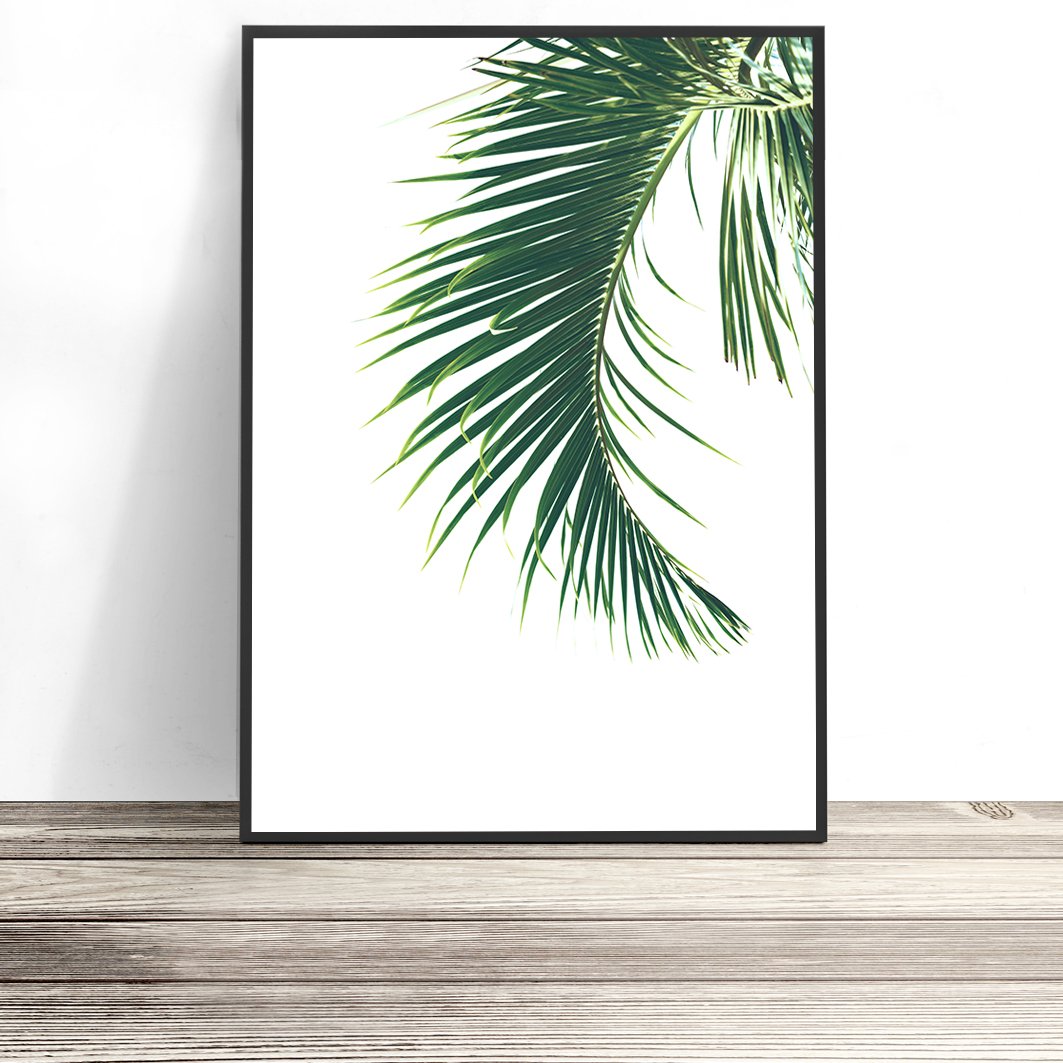 Palm Leaf Print