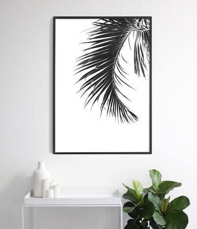 Palm Leaf Print (Black and White)