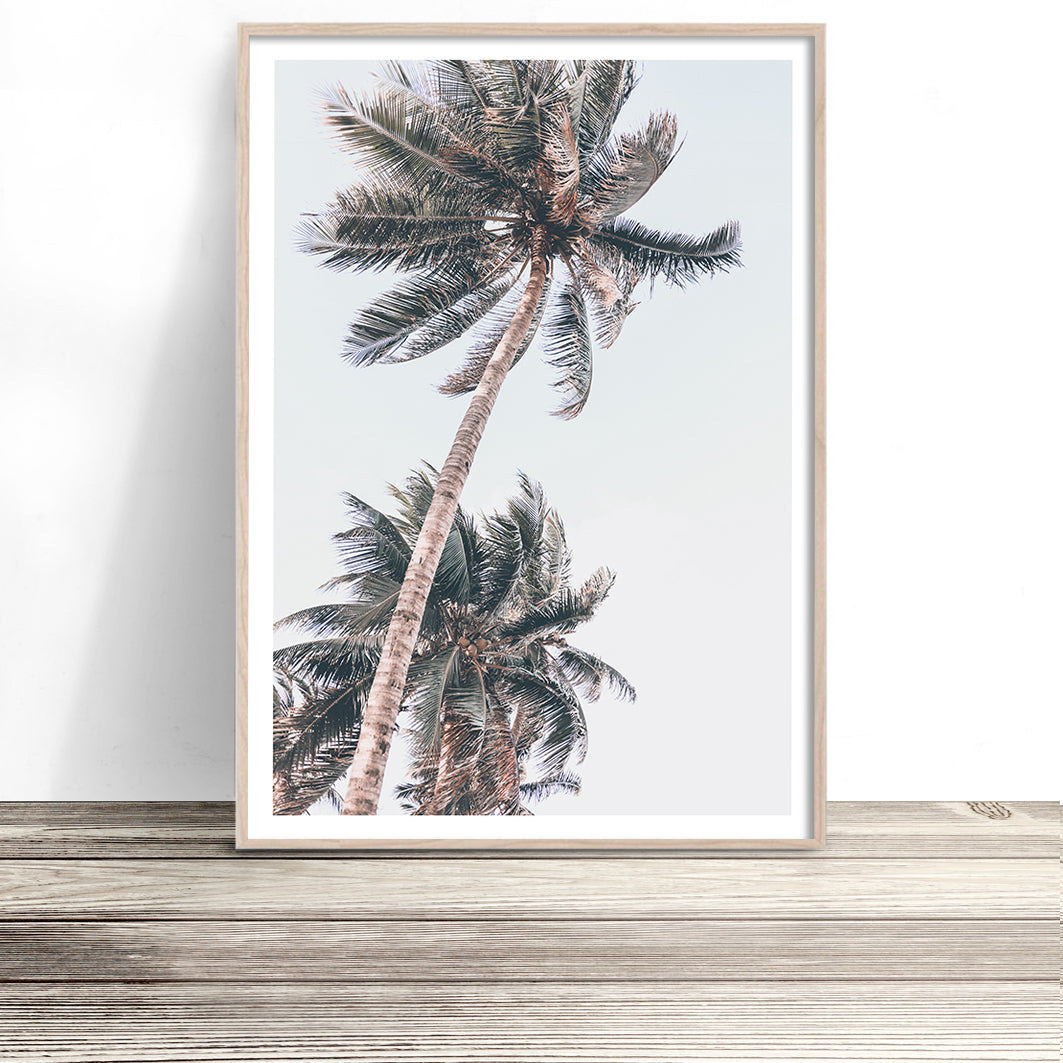 tropical palm trees wall art print australia