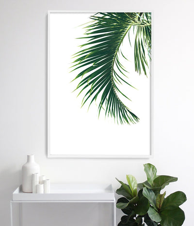 Palm Leaf Print
