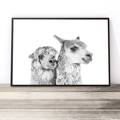 Pair of Llamas Print (Black and White)