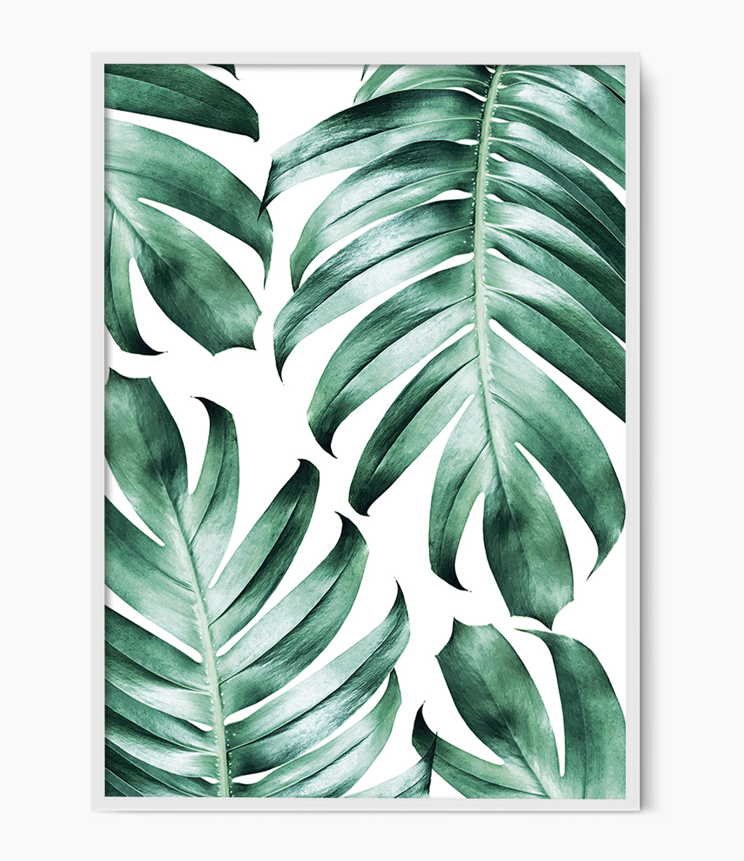 Watercolour Monstera Print