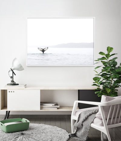 whale-art-print-australia-coastal-wall-art