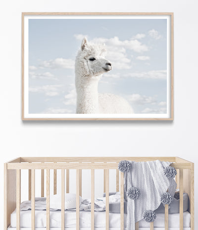 white llama print nursery wall art australia baby room art