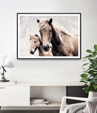 wild-horse-art-print-australia