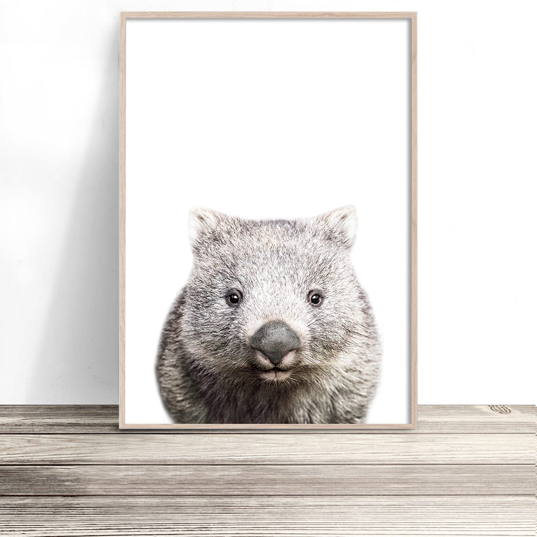 wombat print native australian animal prints photography posters and wall art for home