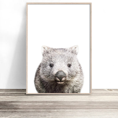 wombat print native australian animal prints photography posters and wall art for home